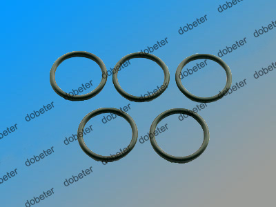 o-ring 5322 530 10289