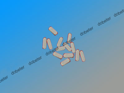 fuji nxth01 nxt h02 filter AA1FZ04 AA1FZ00 AA1FZ01