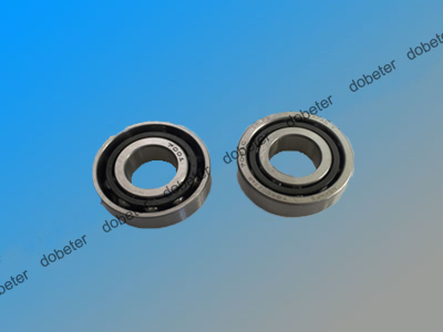 fuji xpf bearing H4209W