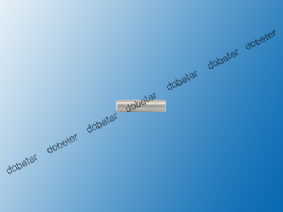 Dowel Pin Lscj0010