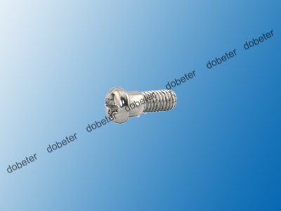 Screw Xp0133